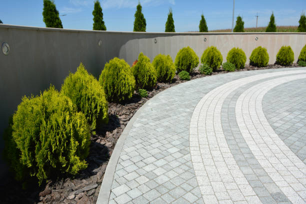 Best Local Driveway Pavers  in Blakely, GA